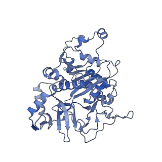 36109_8j9j_E2_v1-1
Cryo-EM structure of Euglena gracilis complex I, NADH state