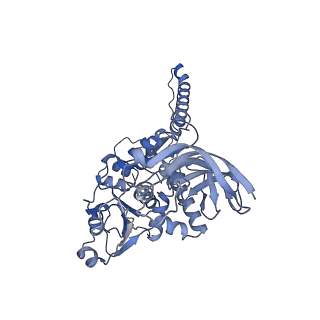 36109_8j9j_E3_v1-1
Cryo-EM structure of Euglena gracilis complex I, NADH state