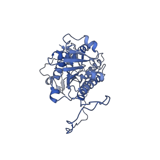 36109_8j9j_E4_v1-1
Cryo-EM structure of Euglena gracilis complex I, NADH state