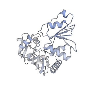 36109_8j9j_E5_v1-1
Cryo-EM structure of Euglena gracilis complex I, NADH state