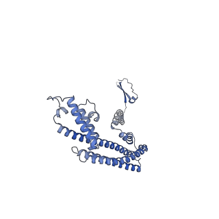 36109_8j9j_E6_v1-1
Cryo-EM structure of Euglena gracilis complex I, NADH state