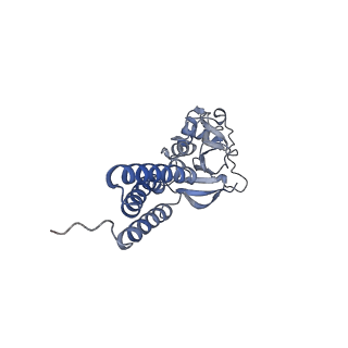 36109_8j9j_E7_v1-1
Cryo-EM structure of Euglena gracilis complex I, NADH state