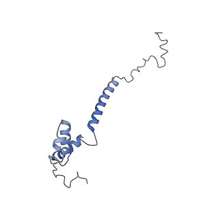 36109_8j9j_EA_v1-1
Cryo-EM structure of Euglena gracilis complex I, NADH state