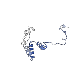 36109_8j9j_EB_v1-1
Cryo-EM structure of Euglena gracilis complex I, NADH state