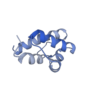 36109_8j9j_EC_v1-1
Cryo-EM structure of Euglena gracilis complex I, NADH state