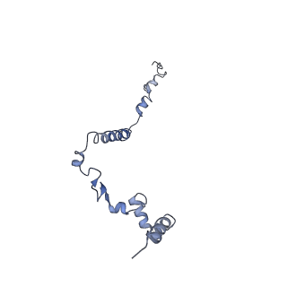 36109_8j9j_ED_v1-1
Cryo-EM structure of Euglena gracilis complex I, NADH state