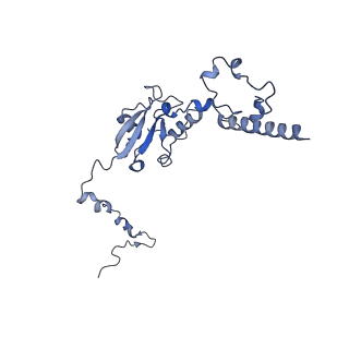 36109_8j9j_FX_v1-1
Cryo-EM structure of Euglena gracilis complex I, NADH state