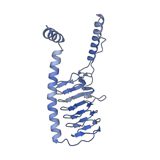 36109_8j9j_G2_v1-1
Cryo-EM structure of Euglena gracilis complex I, NADH state