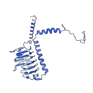 36109_8j9j_G3_v1-1
Cryo-EM structure of Euglena gracilis complex I, NADH state