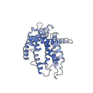 36109_8j9j_N1_v1-1
Cryo-EM structure of Euglena gracilis complex I, NADH state