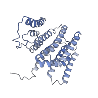36109_8j9j_N2_v1-1
Cryo-EM structure of Euglena gracilis complex I, NADH state