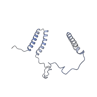 36109_8j9j_N3_v1-1
Cryo-EM structure of Euglena gracilis complex I, NADH state