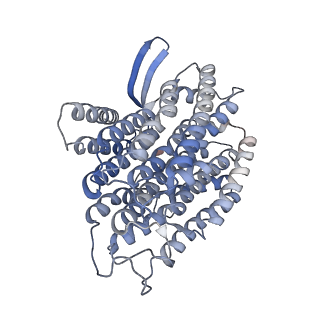 36109_8j9j_N4_v1-1
Cryo-EM structure of Euglena gracilis complex I, NADH state