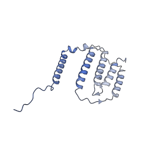 36109_8j9j_N6_v1-1
Cryo-EM structure of Euglena gracilis complex I, NADH state