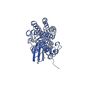 36109_8j9j_S2_v1-1
Cryo-EM structure of Euglena gracilis complex I, NADH state