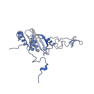 36109_8j9j_S3_v1-1
Cryo-EM structure of Euglena gracilis complex I, NADH state