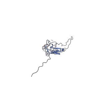 36109_8j9j_S4_v1-1
Cryo-EM structure of Euglena gracilis complex I, NADH state