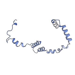 36109_8j9j_S5_v1-1
Cryo-EM structure of Euglena gracilis complex I, NADH state