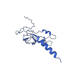 36109_8j9j_S6_v1-1
Cryo-EM structure of Euglena gracilis complex I, NADH state