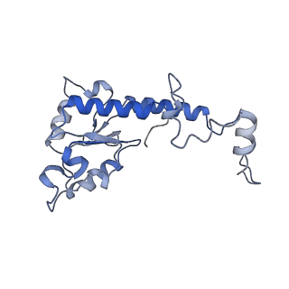 36109_8j9j_S7_v1-1
Cryo-EM structure of Euglena gracilis complex I, NADH state