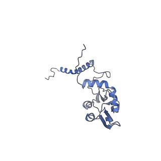 36109_8j9j_S8_v1-1
Cryo-EM structure of Euglena gracilis complex I, NADH state