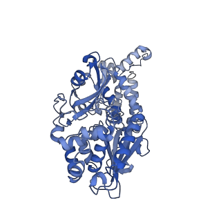 36109_8j9j_V1_v1-1
Cryo-EM structure of Euglena gracilis complex I, NADH state