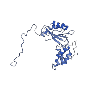 36109_8j9j_V2_v1-1
Cryo-EM structure of Euglena gracilis complex I, NADH state