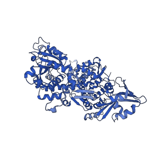 36116_8j9v_A_v1-0
Cryo-EM structure of the African swine fever virus topoisomerase 2 complexed with Cut02aDNA and etoposide (EDI-1)