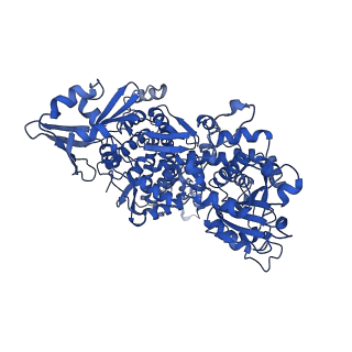 36116_8j9v_B_v1-0
Cryo-EM structure of the African swine fever virus topoisomerase 2 complexed with Cut02aDNA and etoposide (EDI-1)