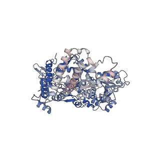 36117_8j9w_B_v1-0
Cryo-EM structure of the African swine fever virus topoisomerase 2 complexed with Cut02bDNA and etoposide (EDI-2)