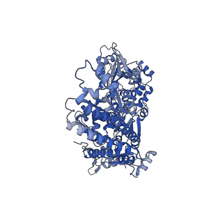 36118_8j9x_A_v1-0
Cryo-EM structure of the African swine fever virus topoisomerase 2 complexed with Cut02aDNA and m-AMSA (EDI-3)