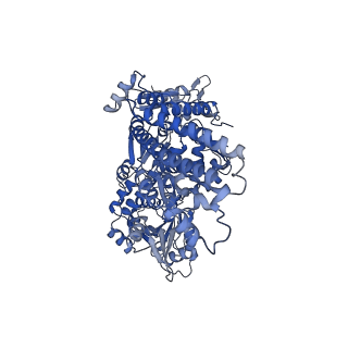 36118_8j9x_B_v1-0
Cryo-EM structure of the African swine fever virus topoisomerase 2 complexed with Cut02aDNA and m-AMSA (EDI-3)