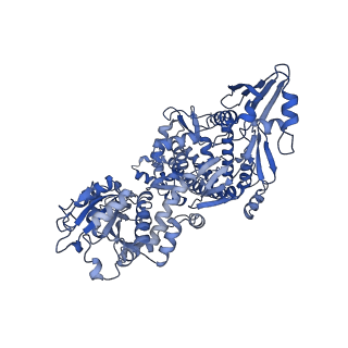 36119_8j9y_A_v1-2
cryo-EM structure of viral topoisomerase in conformation 1