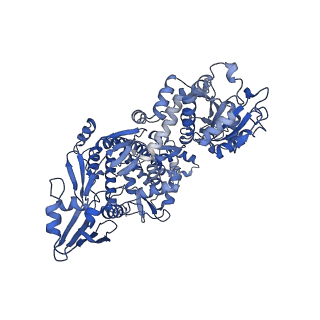 36119_8j9y_B_v1-2
cryo-EM structure of viral topoisomerase in conformation 1