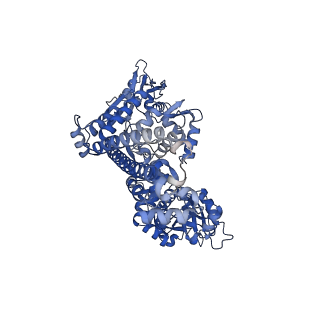 36120_8j9z_A_v1-2
cryo-EM structure of viral topoisomerase in conformation 2