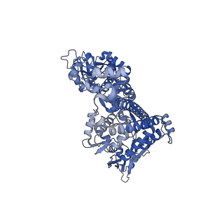 36120_8j9z_B_v1-2
cryo-EM structure of viral topoisomerase in conformation 2