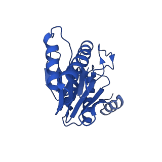 5623_3j9i_1_v1-1
Thermoplasma acidophilum 20S proteasome