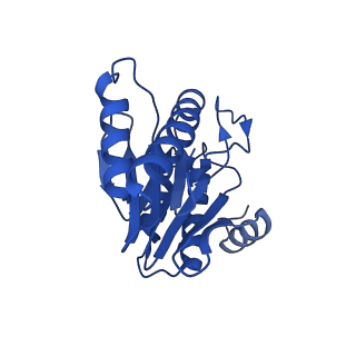 5623_3j9i_1_v1-2
Thermoplasma acidophilum 20S proteasome