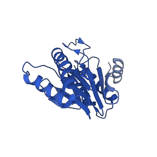 5623_3j9i_2_v1-1
Thermoplasma acidophilum 20S proteasome