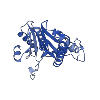 5623_3j9i_A_v1-1
Thermoplasma acidophilum 20S proteasome