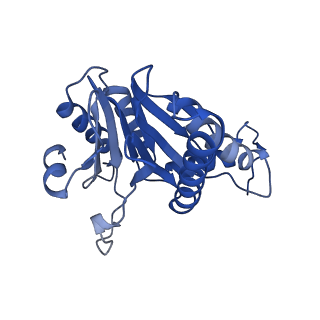 5623_3j9i_A_v1-2
Thermoplasma acidophilum 20S proteasome