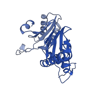 5623_3j9i_B_v1-2
Thermoplasma acidophilum 20S proteasome