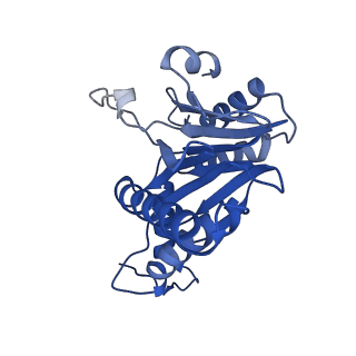 5623_3j9i_C_v1-1
Thermoplasma acidophilum 20S proteasome