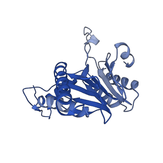 5623_3j9i_D_v1-1
Thermoplasma acidophilum 20S proteasome