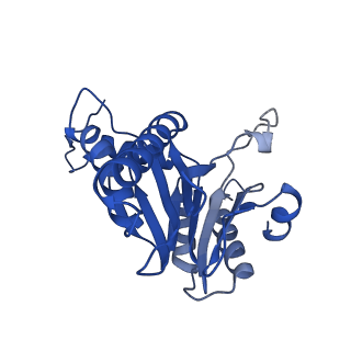 5623_3j9i_E_v1-1
Thermoplasma acidophilum 20S proteasome