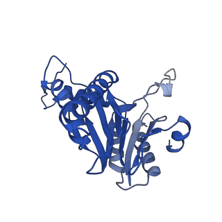 5623_3j9i_E_v1-2
Thermoplasma acidophilum 20S proteasome