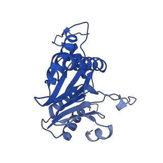 5623_3j9i_F_v1-1
Thermoplasma acidophilum 20S proteasome
