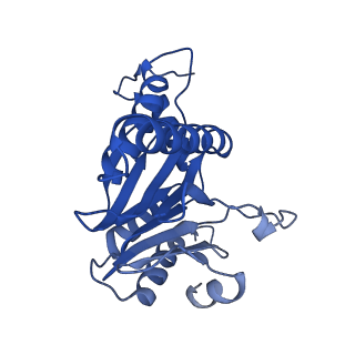 5623_3j9i_F_v1-2
Thermoplasma acidophilum 20S proteasome