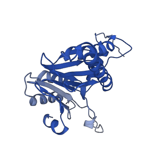 5623_3j9i_G_v1-1
Thermoplasma acidophilum 20S proteasome