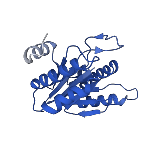 5623_3j9i_H_v1-1
Thermoplasma acidophilum 20S proteasome